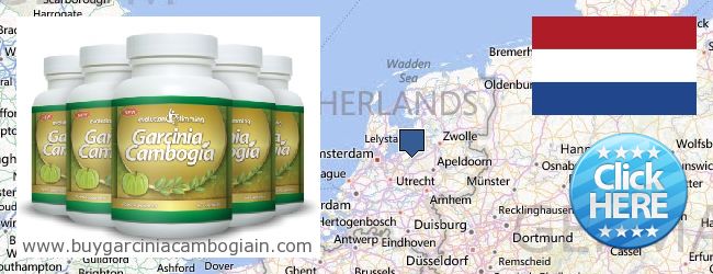 Dove acquistare Garcinia Cambogia Extract in linea Netherlands